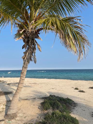 عکس ساحل سیمرغ