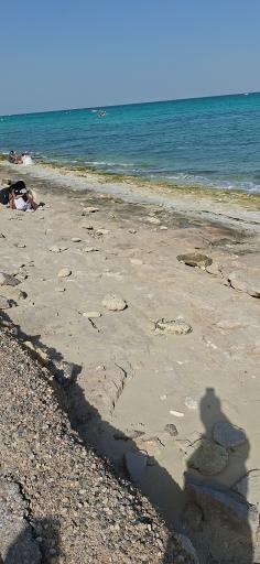 عکس ساحل مرجان