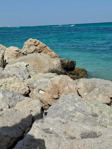 عکس ساحل مرجان