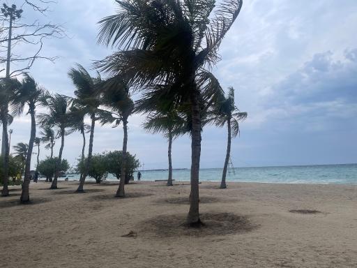 عکس ساحل مرجان