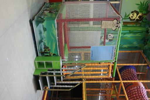 عکس پاندا پلاس