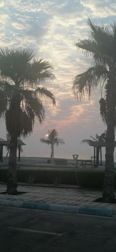 عکس ساحل سیمرغ