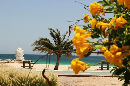 عکس ساحل سیمرغ