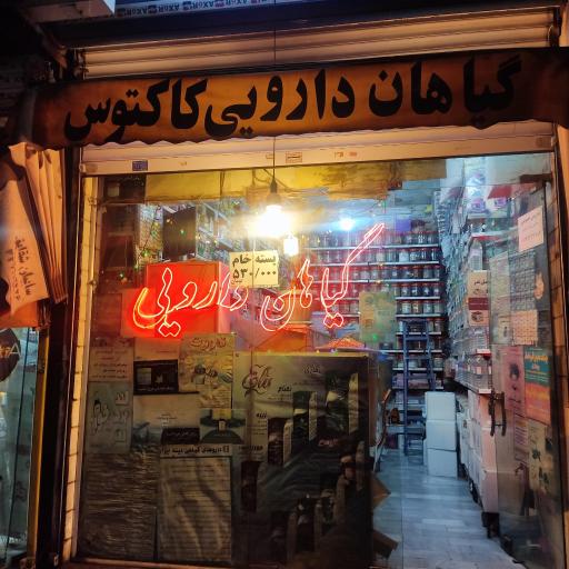 گیاهان دارویی کاکتوس