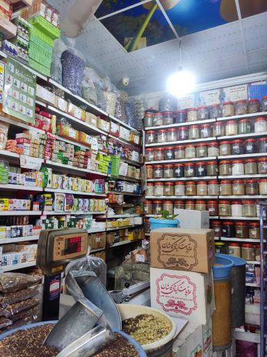 عکس گیاهان دارویی کاکتوس