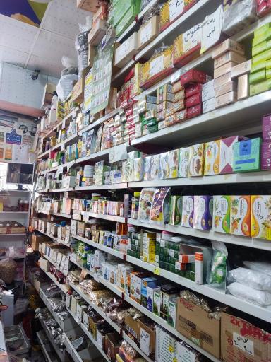 عکس گیاهان دارویی کاکتوس