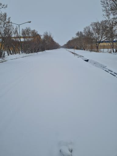 عکس دانشگاه آزاد اسلامی واحد قوچان