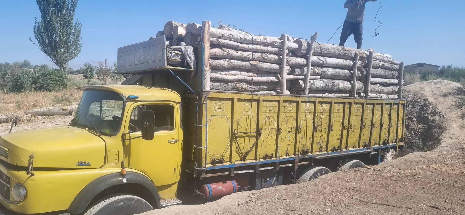 عکس دپو چوب عبدالحمیدی