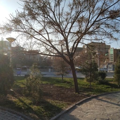 عکس بوستان 18