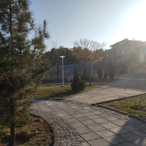 عکس بوستان 18