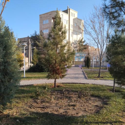 عکس بوستان 18