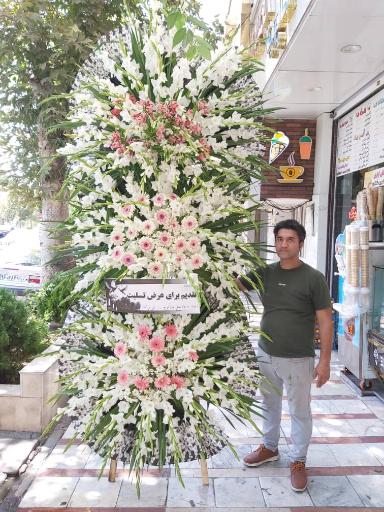 عکس گل جمال