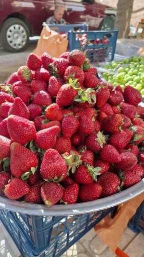 عکس میوه و تره بار تازه امیر