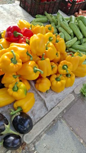 عکس باغ میوه امیر 