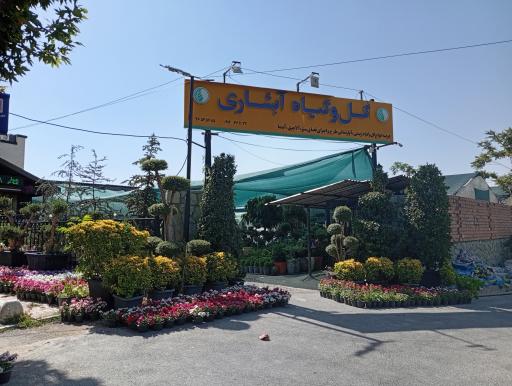 عکس گل و گیاه آبشاری