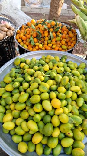 میوه و تره بار امیر