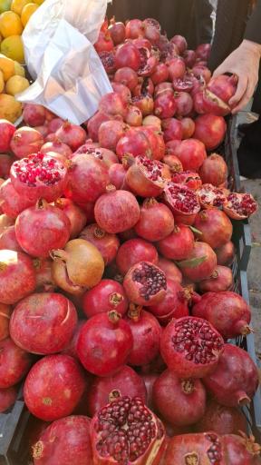 عکس باغ میوه امیر 