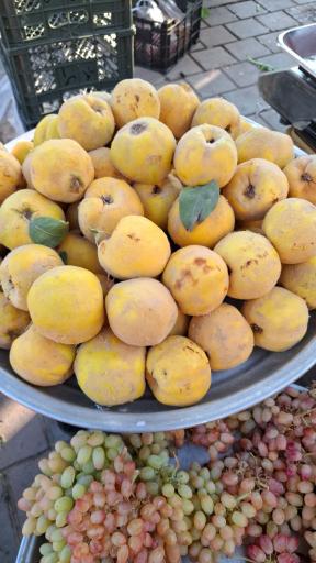 عکس باغ میوه امیر 