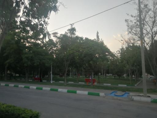 عکس بوستان شمشاد