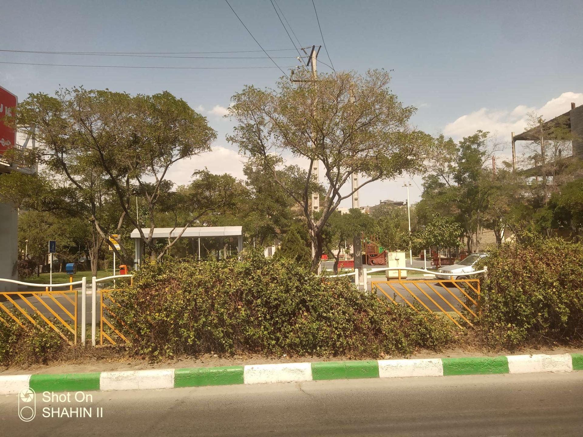 عکس بوستان شمشاد