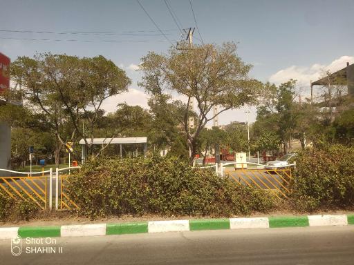 عکس بوستان شمشاد