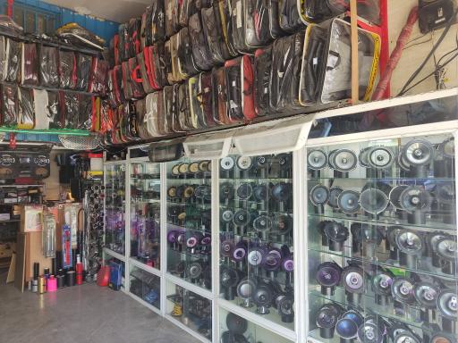 دزدگیر ماشین