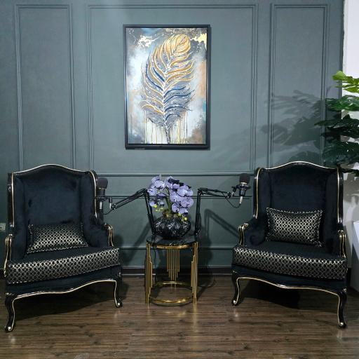 عکس استودیو ویورال