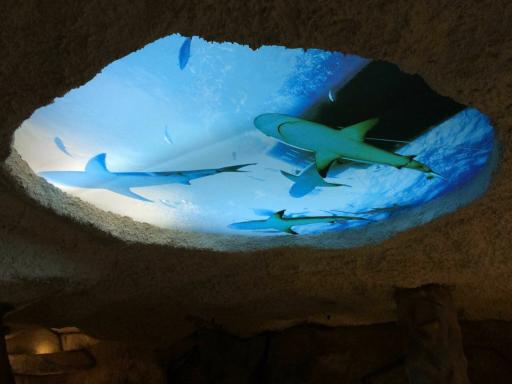 عکس آسمانخانه