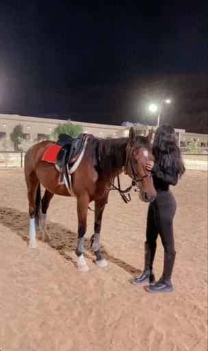 عکس باشگاه سوارکاری سلطان