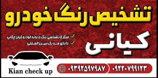 عکس تشخیص رنگ و کارشناسی خودرو کیانی