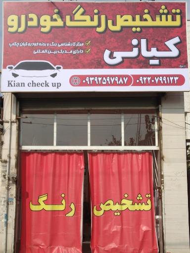 عکس تشخیص رنگ و کارشناسی خودرو کیانی