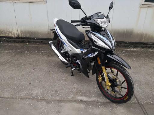 عکس شرکت زمردکویر