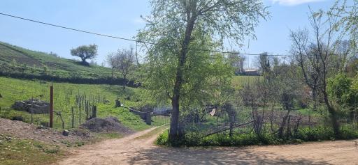 عکس دریاچه اسطلخ جان