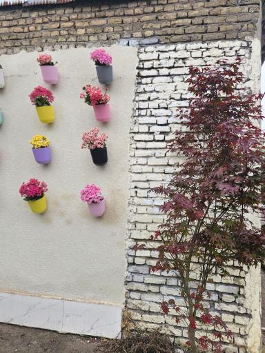 عکس صبحانه خوری و کبابی قرار سر صبح