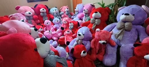 عکس فروشگاه سیسمونی عروسک و اسباب بازی شکیبا