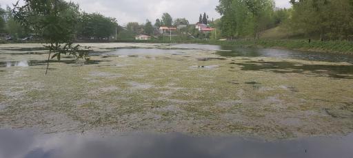 عکس دریاچه اسطلخ جان