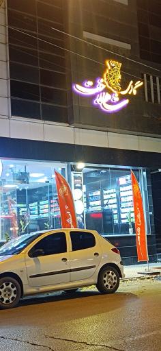 عکس گالری شاهدخت