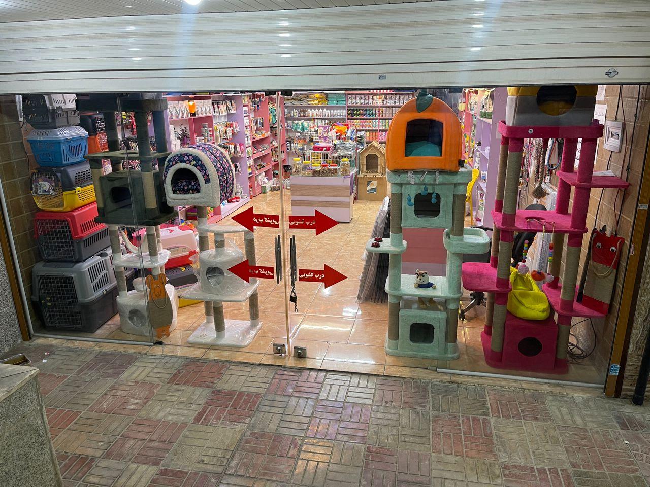 عکس پت شاپ تیتان