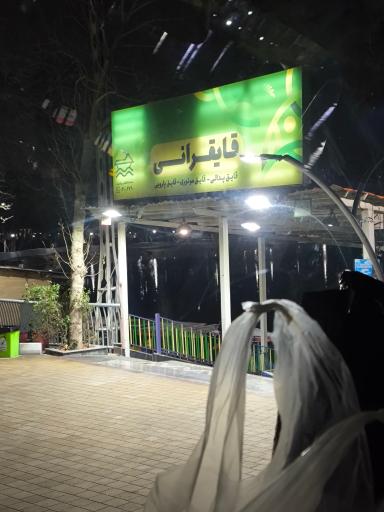 عکس قایقرانی پارک ارم سبز