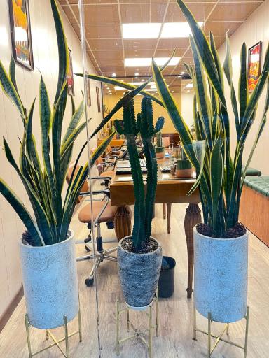 عکس املاک بوستان