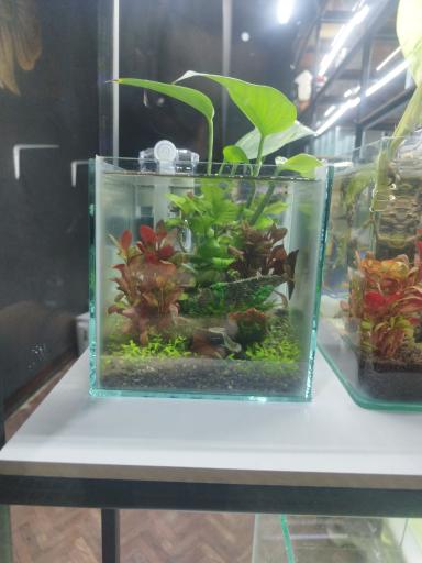 عکس کافه فایتر