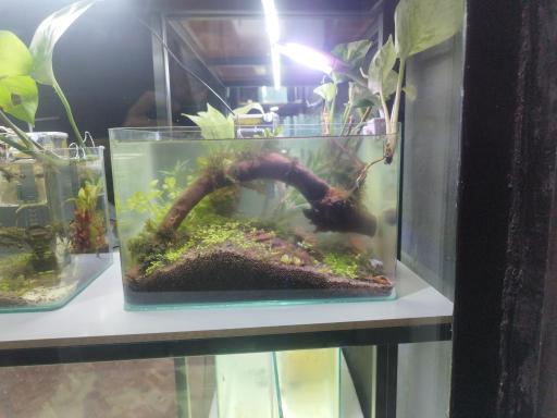 عکس کافه فایتر