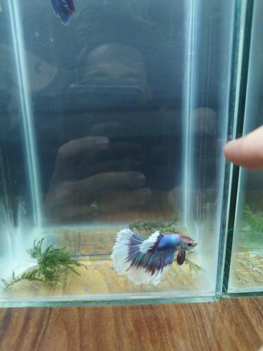 عکس کافه فایتر