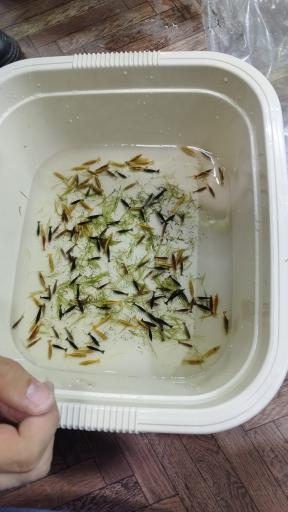 عکس کافه فایتر