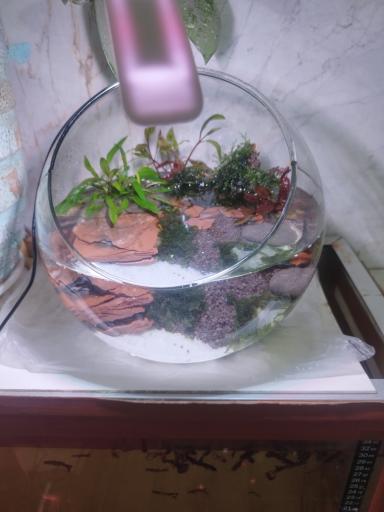 عکس کافه فایتر