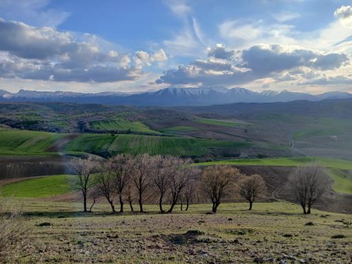 عکس الشتر