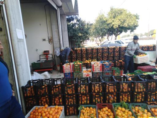 عکس مرکز خرید و فروش محصولات کشاورزی سید حمید شفیعی