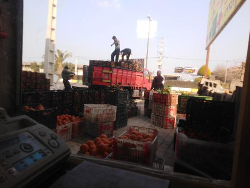 عکس مرکز خرید و فروش محصولات کشاورزی سید حمید شفیعی