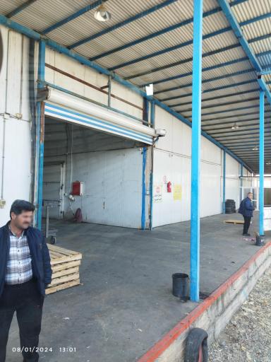 عکس سردخانه قزل آلما
