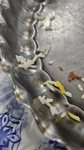 عکس رستوران مجید آستارا